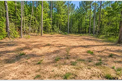 1963 County Road 4704, Troup, TX 75789 - Photo 3