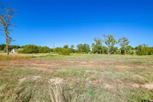 12144 Cotton St, Flint, TX 75762 - Photo 1