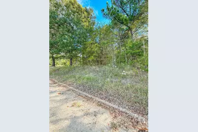 Lot 2 Cr 3424, Bullard, TX 75757 - Photo 1