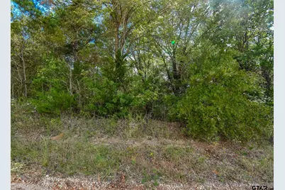 Lot 2 Cr 3424, Bullard, TX 75757 - Photo 3