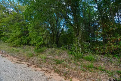 Lot 3 Cr 3424, Bullard, TX 75757 - Photo 5
