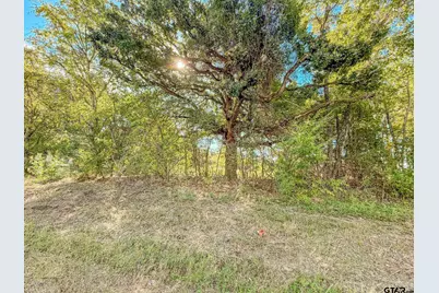 Lot 7 Fm 855, Bullard, TX 75757 - Photo 3