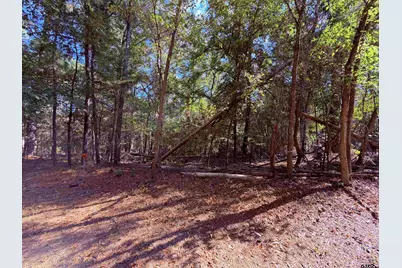 Tbd Meandering Way, Flint, TX 75762 - Photo 13