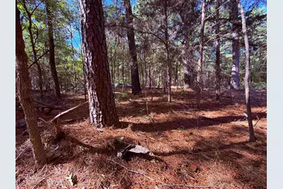 Tbd Meandering Way, Flint, TX 75762 - Photo 9