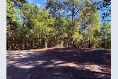 Tbd Meandering Way, Flint, TX 75762 - Photo 3