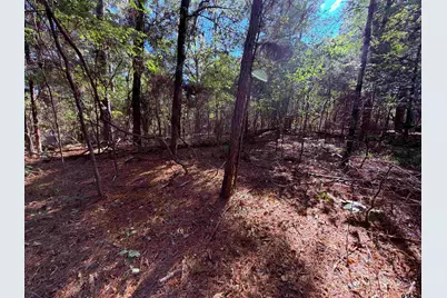 Tbd Meandering Way, Flint, TX 75762 - Photo 7