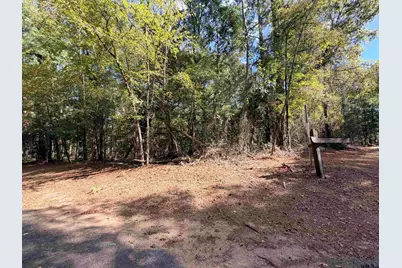 Tbd Meandering Way, Flint, TX 75762 - Photo 15