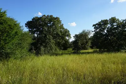 12641 Private Rd 5104, Athens, TX 75751 - Photo 33