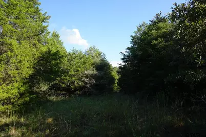 12641 Private Rd 5104, Athens, TX 75751 - Photo 9