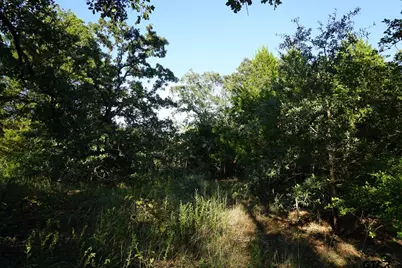12641 Private Rd 5104, Athens, TX 75751 - Photo 27