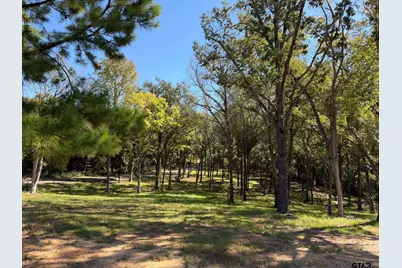 22080 Cr 4117, Frankston, TX 75763 - Photo 43