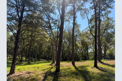 22080 Cr 4117, Frankston, TX 75763 - Photo 45