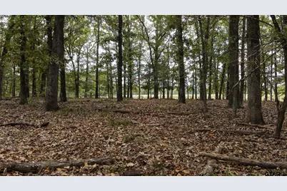Tbd Cr 2786 Lot 1, Mineola, TX 75773 - Photo 41