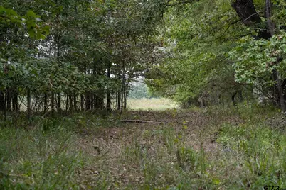 Tbd Cr 2786 Lot 1, Mineola, TX 75773 - Photo 37