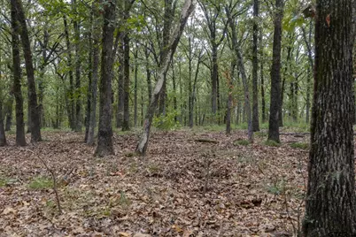 Tbd Cr 2786 Lot 1, Mineola, TX 75773 - Photo 39