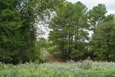 Tbd Cr 2786 Lot 1, Mineola, TX 75773 - Photo 45