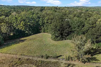 252 County Road 4560, Winnsboro, TX 75494 - Photo 7