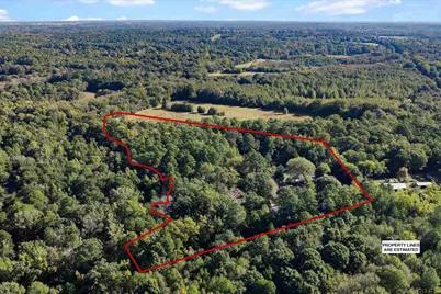 252 County Road 4560, Winnsboro, TX 75494 - Photo 5