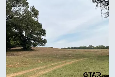 Tbd Fm 315, Palestine, TX 75803 - Photo 15