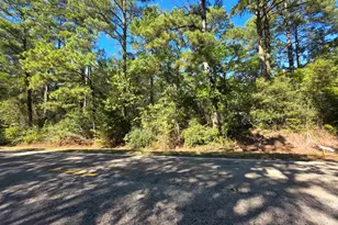 0 Fm 3204, Brownsboro, TX 75756 - Photo 1