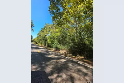 0 Fm 3204, Brownsboro, TX 75756 - Photo 7
