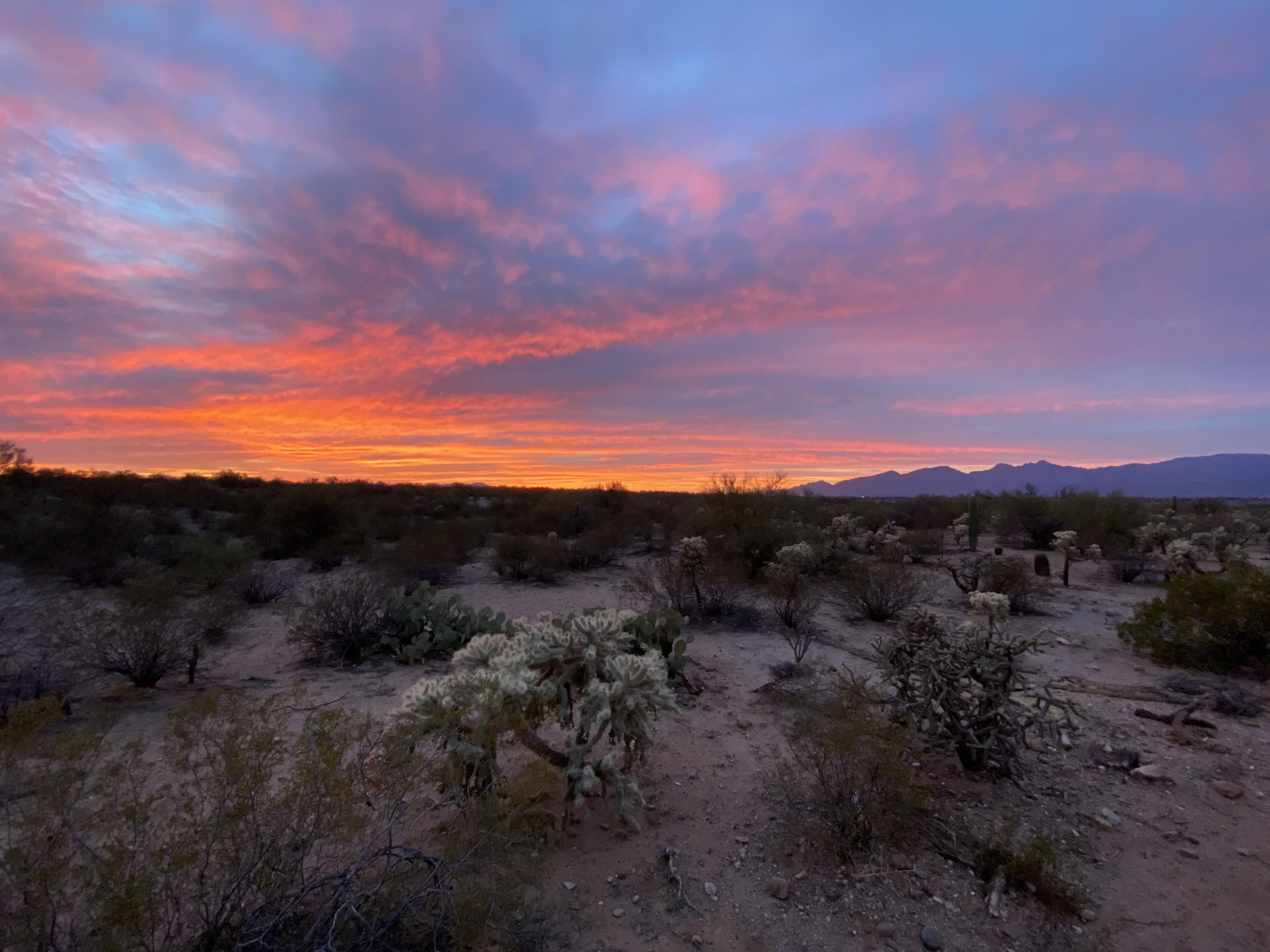 5438 S Saguaro Wash Trail, Tucson, AZ 85747 - MLS 22110856 - Coldwell ...