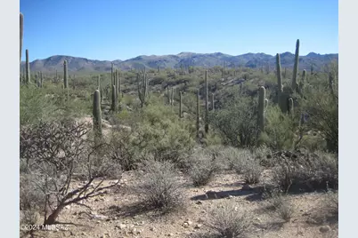 Xx Derrio &amp; Muledeer, Marana, AZ 85658 - Photo 1