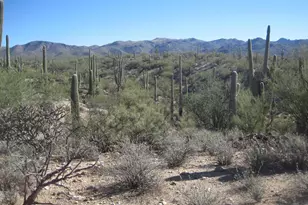 Xx Derrio &amp Muledeer, Marana, AZ 85658 - Photo 1