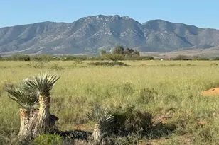 7 Lots Quinn Rd, Pearce, AZ 85625 - Photo 1