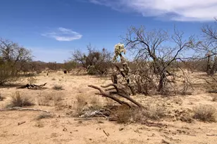 16440 Cowboy Pl, Tucson, AZ 85736 - Photo 1