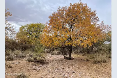12 Acres Camino Verde #-, Pearce, AZ 85625 - Photo 1