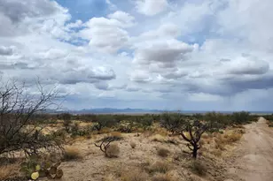 12815 Gunsmoke Rd, Tucson, AZ 85736 - Photo 1