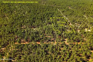 D-Tbd Birdsong Way, Lakeside, AZ 85929 - Photo 1