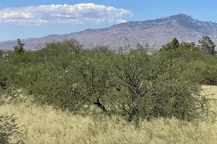 Tbd Shortino Ln, Benson, AZ 85602 - Photo 1