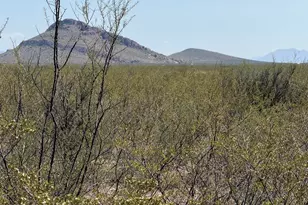 Lot 114 Valley Springs, Douglas, AZ 85607 - Photo 1