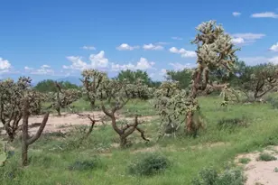 14855 Lost Valley Loop, Tucson, AZ 85736 - Photo 1