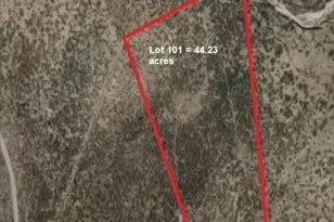 44 23Ac Grey Bear Rd, Willcox, AZ 85643 - Photo 1