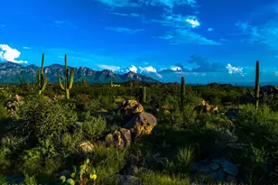 14925 Slippery Ridge Loop, Oro Valley, AZ 85755 - Photo 1