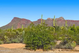 9780 W Rudasill Rd, Tucson, AZ 85743 - Photo 1
