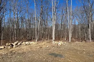 12 Chestnut Ln, Washington, CT 06777 - Photo 37