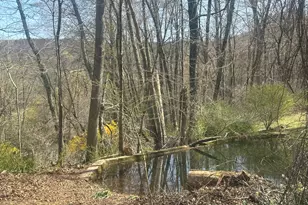 13 Cobble Heights Rd, Kent, CT 06757 - Photo 37