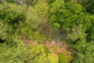 South Salem Rd, Ridgefield, CT 06877 - Photo 3