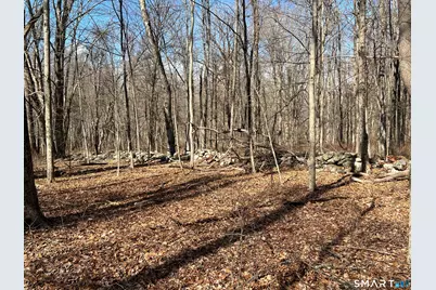 Spooner Hill Road, Kent, CT 06757 - Photo 3