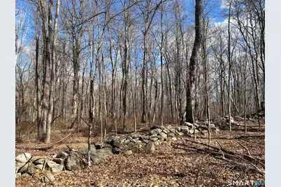 Spooner Hill Road, Kent, CT 06757 - Photo 5