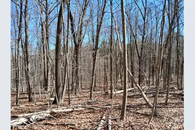 Sherman Road, New Milford, CT 06776 - Photo 7