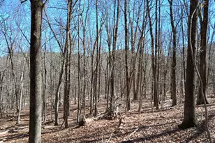 Sherman Rd, New Milford, CT 06776 - Photo 1