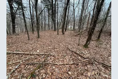 439 Washington Road, Woodbury, CT 06798 - Photo 33