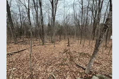 439 Washington Road, Woodbury, CT 06798 - Photo 29