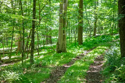 Under Mountain Road, Salisbury, CT 06068 - Photo 11