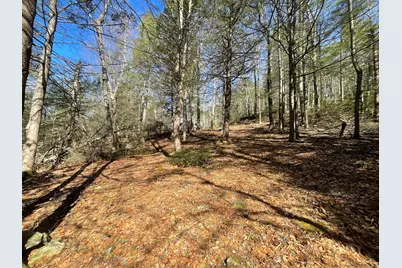 50 Pine Road, Colebrook, CT 06021 - Photo 1